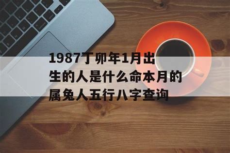 丁卯年兔|丁卯兔出生的人是什么命 丁卯年出生时辰命运